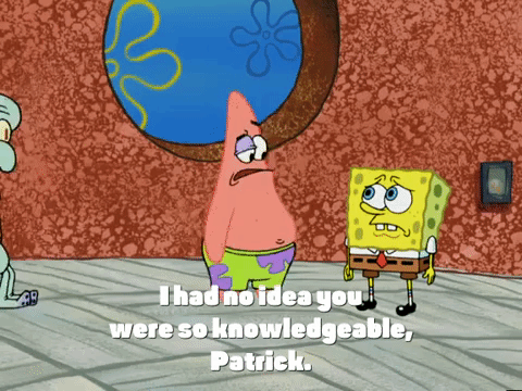 season 4 GIF by SpongeBob SquarePants