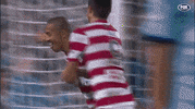 wswanderersfc football celebration goal wanderers GIF