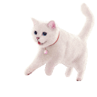 Travel Birthday Sticker by Malaysia Airlines