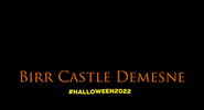 birrcastledemesne  GIF