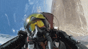 pitviper  GIF