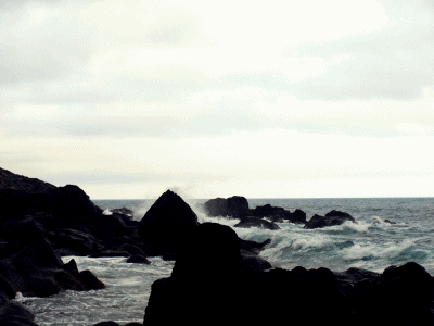 sea ocean GIF