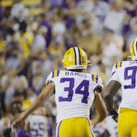 College Sports Football GIF by LSU Tigers