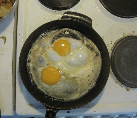 eggs GIF