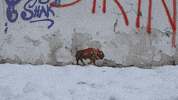 Street Climate GIF by Kaybid
