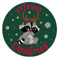 Christmas Raccoon Sticker