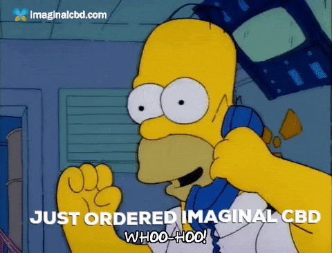 Excited Homer Simpson GIF by Imaginal Biotech