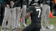 Jacksonville Jaguars Football GIF by NFL