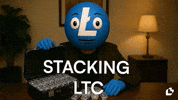 Money Stacking GIF by LitVM