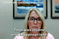 Jan 6 GIF by GIPHY News