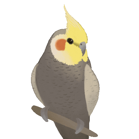 scoutdandelion rainbow animal bird pet Sticker