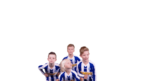 Voetbalvereniging_Scherpenzeel giphyupload sport voetbal bal Sticker