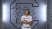 wbb19 gamecockfams GIF by gamecocksonline