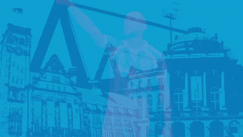 Football Tor GIF by ChemnitzerFC