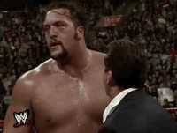 big show wrestling GIF by WWE