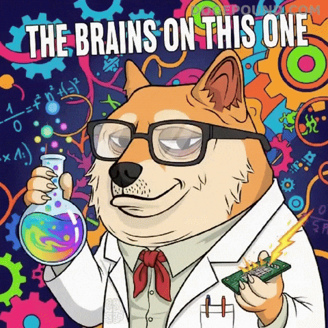 Shiba Inu Thinking GIF by Doge Pound