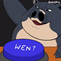 Pig Cardano GIF by Nikepig