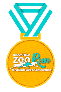 Going For The Gold Win Sticker by Brookfield Zoo