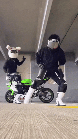 Dance Dancing GIF