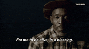 GIF by Black Market