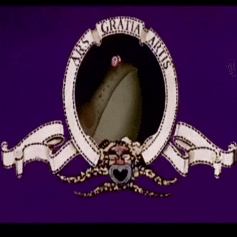 misciel monty python montypython 20th century frog GIF