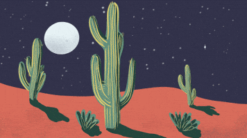Lizard84 cactus desert full moon night sky GIF