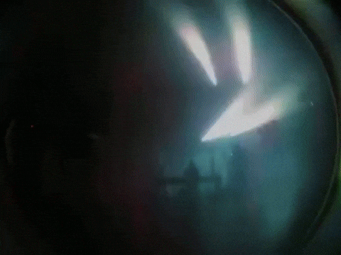 Coachella Jrjrjr GIF by Respective
