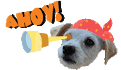 Fun Puppy Sticker by Ventura College Official