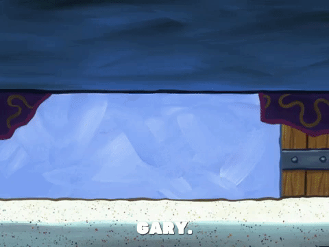 season 6 GIF by SpongeBob SquarePants