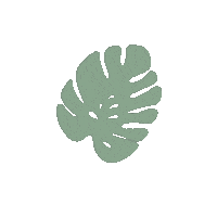 thecollectiveloft doodle plants natural organic Sticker