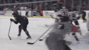 QCStorm storm quad city quad city storm qc storm GIF