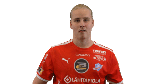 Floorball Salibandy Sticker by F-liiga
