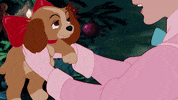walt disney animation studios GIF by Disney