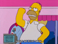 homer simpson episode 3 GIF