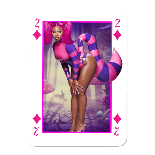 Hot Girls Hottie Sticker by Megan Thee Stallion