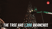 Christmas Tree GIF by BuzzFeed