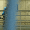slow motion running GIF by PUMA
