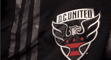 soccer futbol GIF by D.C. United