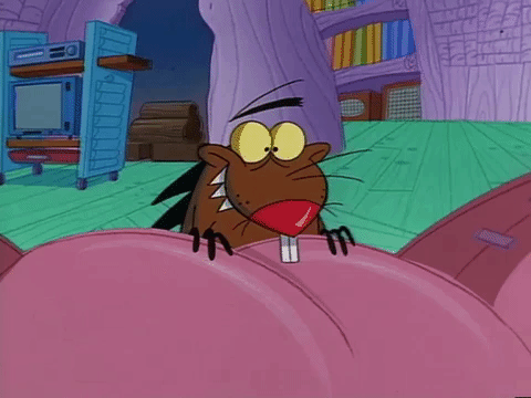 nickrewind giphydvr nicksplat angry beavers giphyab031 GIF