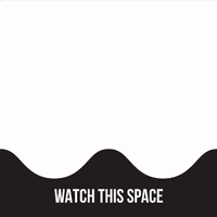 GIF by SHAKE THAT SOCIAL