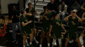 Gotribe Dancing GIF by William & Mary Tribe Athletics