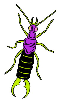 eatrotten bug eatrotten feedyourfreak rottengummyworms Sticker