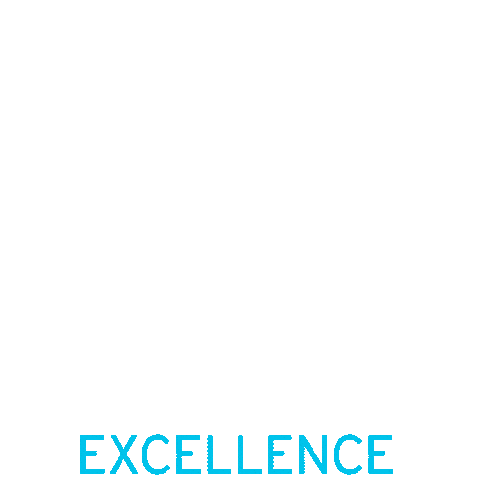 Values Excellence Sticker by DCS Group