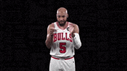 Jevon Carter Basketball GIF by Chicago Bulls