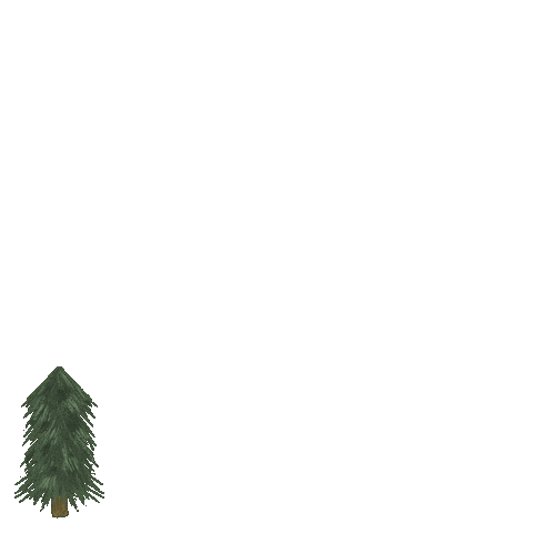 Pine Tree Christmas Sticker