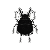 Stag Beetle Bug Sticker