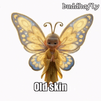 Butterfly Wings GIF by BuddhaFlyJourney
