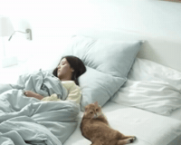 Simba GIF