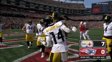 Excited Celebration GIF by Pittsburgh Steelers