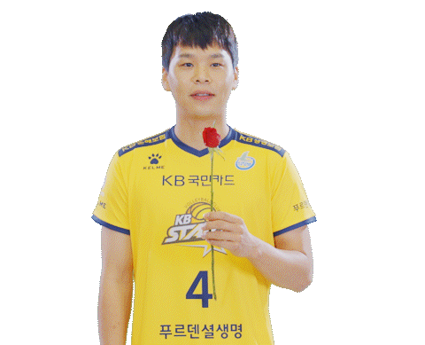 Kb스타즈 Sticker by KB STARS VOLLEYBALL CLUB